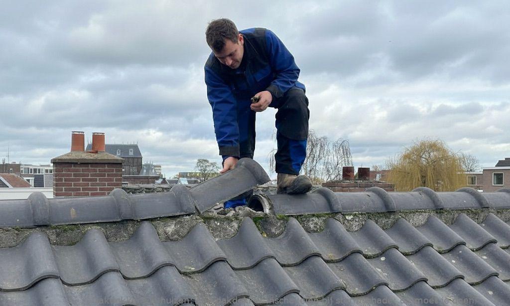 Dakdekker Inschakelen Stormschade Enkhuizen