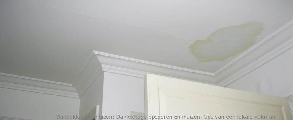 Daklekkage Opsporen Enkhuizen 1
