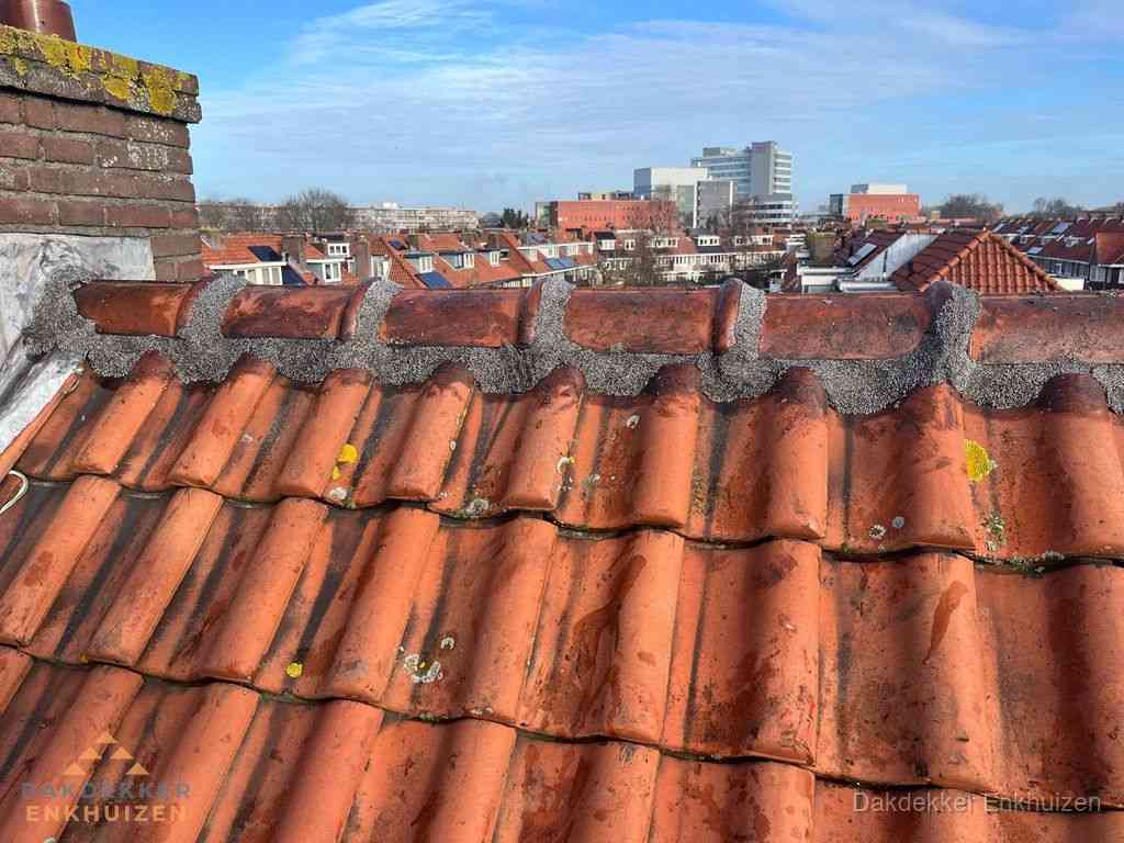 Enkhuizen Daken Renoveren
