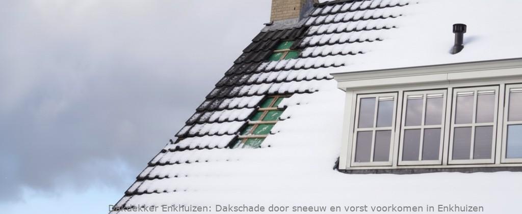 Schade Door Sneeuw En Vorst Enkhuizen