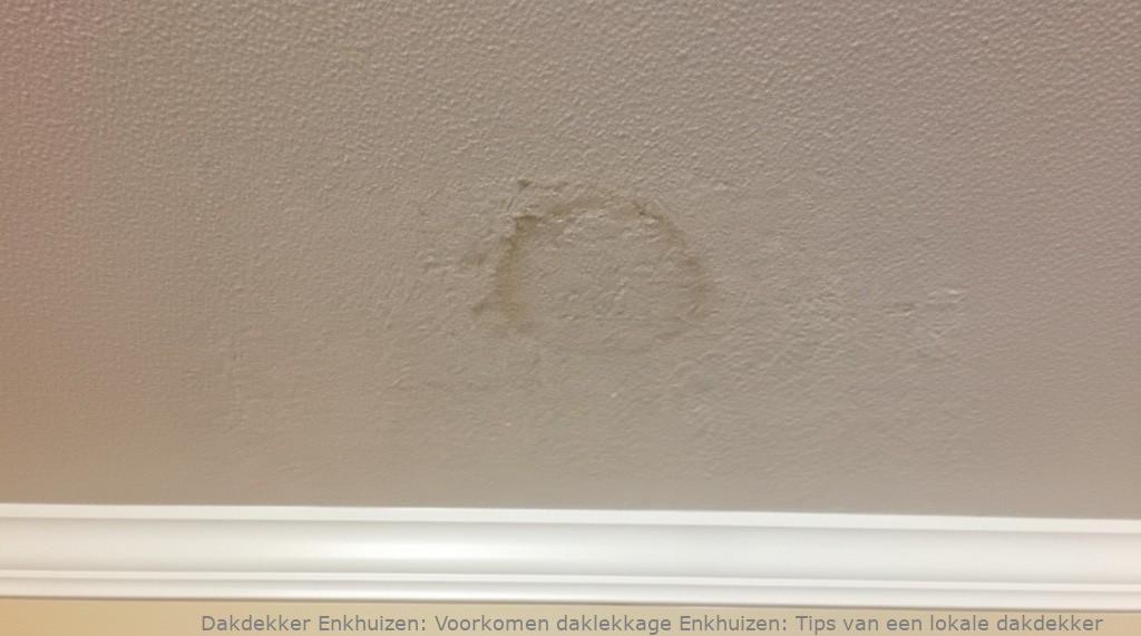 Voorkomen Daklekkage Enkhuizen